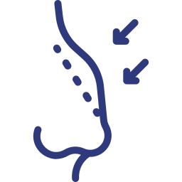 RinoFiller